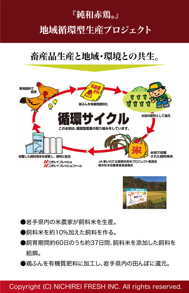 『純和赤鶏』地域循環型生産プロジェクト